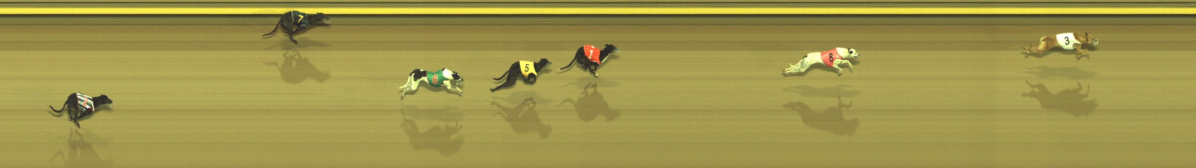 Race result finish photo